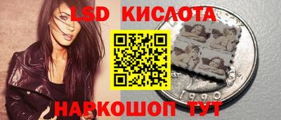 гидропоника Камышлов