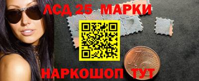 гидропоника Камышлов
