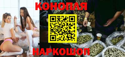 гидропоника Камышлов