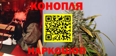 гидропоника Камышлов
