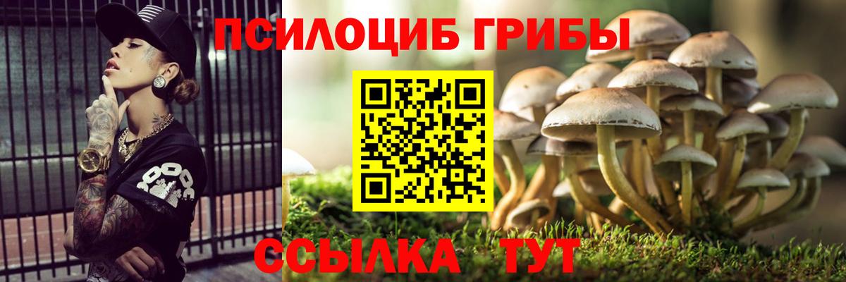 Кимры  Псилоцибиновые грибы мухоморы  Вход с VPN 